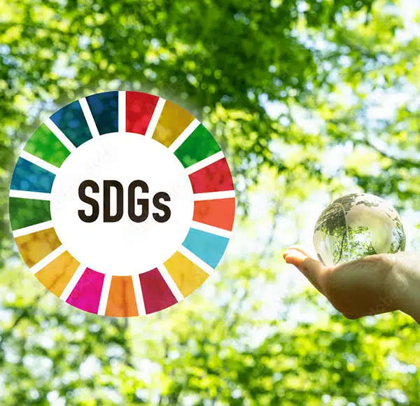 SDGs